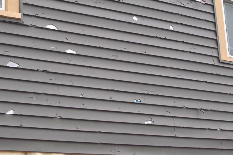 Professional Vinyl Siding Repair